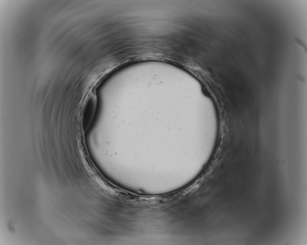 X0000103150049200809121825