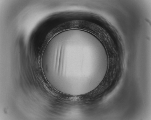 X0000103150050200809121825