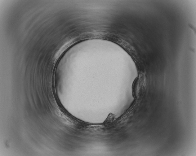 X0000103150051200809121825