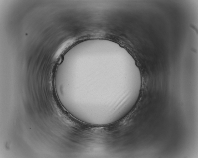 X0000103150054200809121825