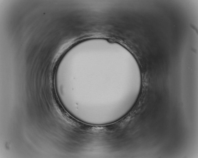 X0000103150055200809121825