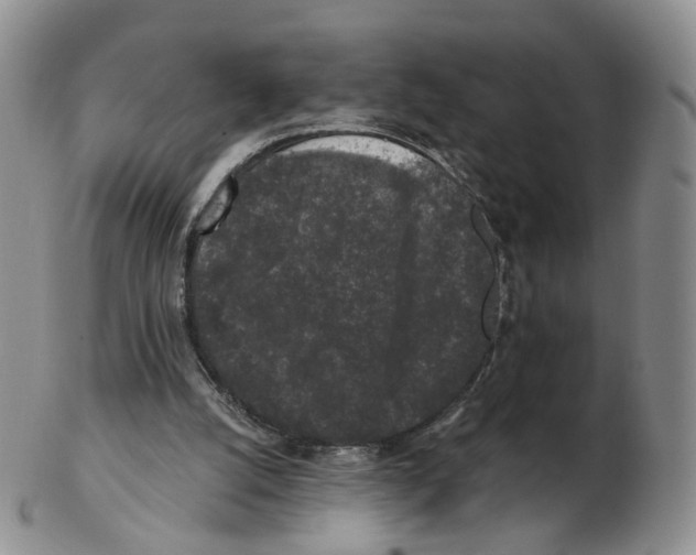 X0000103150056200809121825