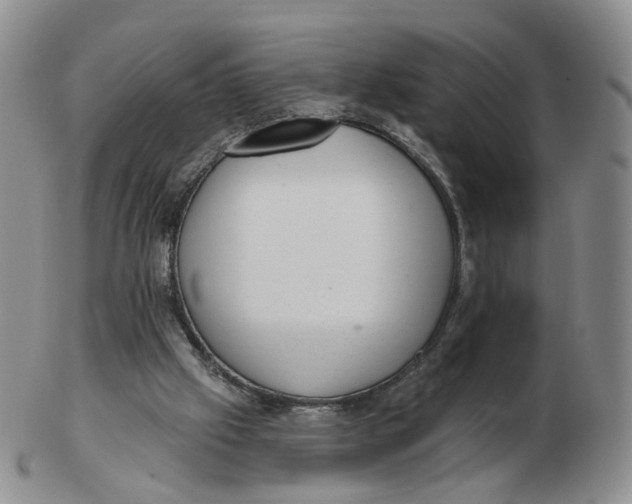 X0000103150057200809121825