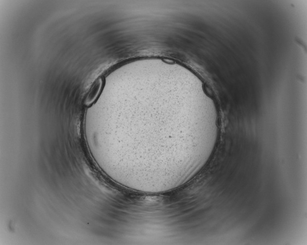 X0000103150060200809121825