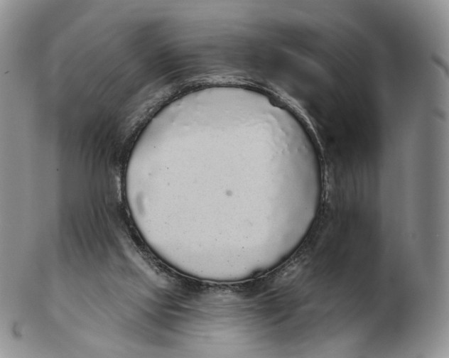 X0000103150061200809121825