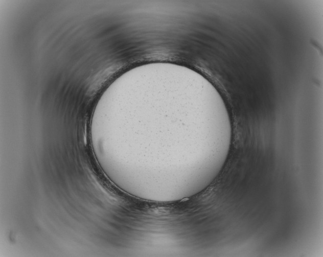 X0000103150062200809121825