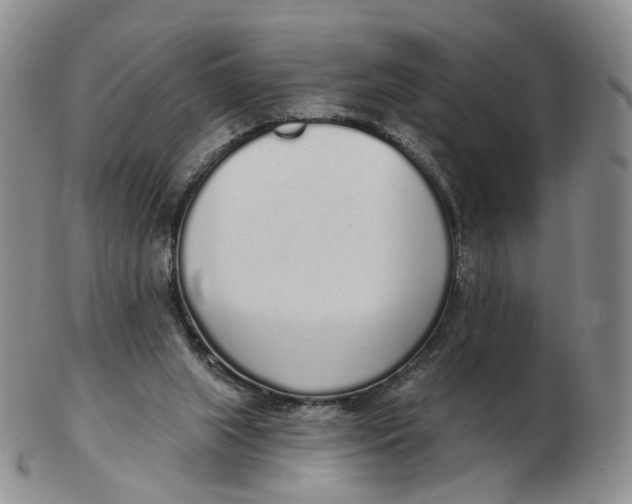 X0000103150063200809121825