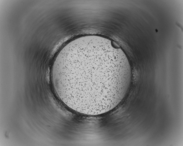 X0000103150064200809121825