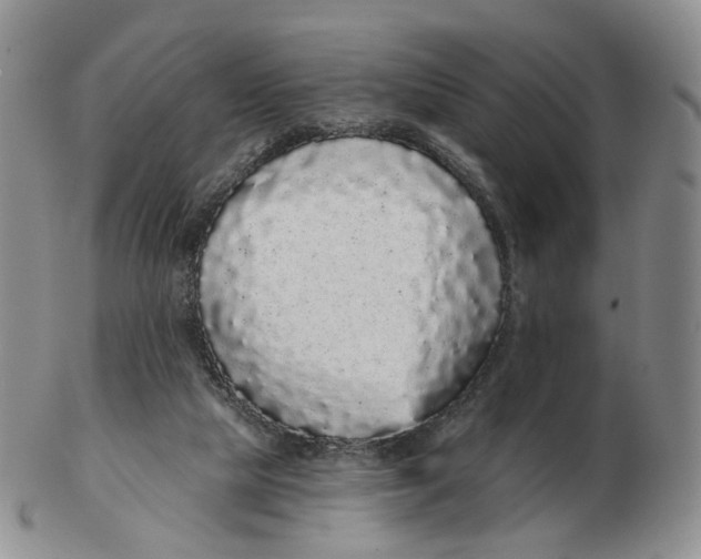 X0000103150065200809121825