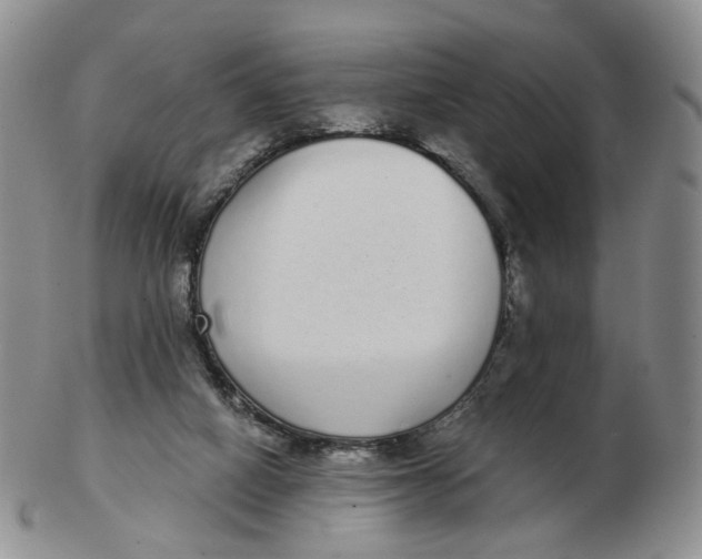 X0000103150066200809121825