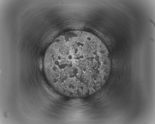 X0000103150069200809121825