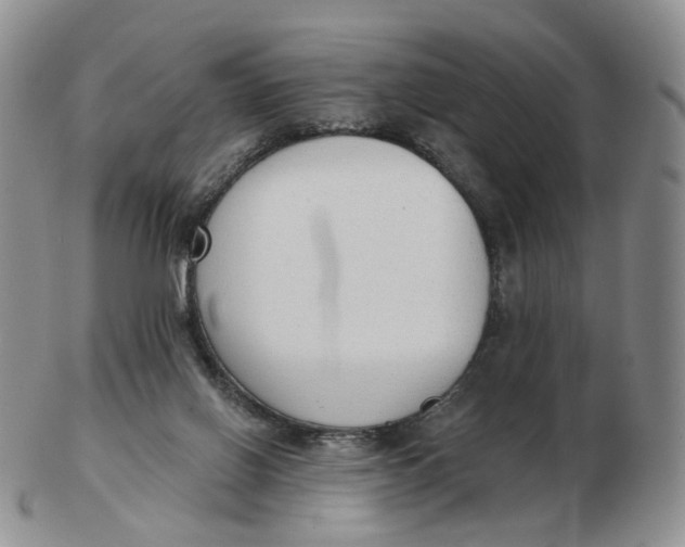 X0000103150070200809121825