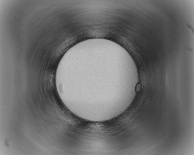 X0000103150071200809121825