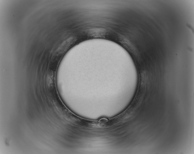 X0000103150073200809121825