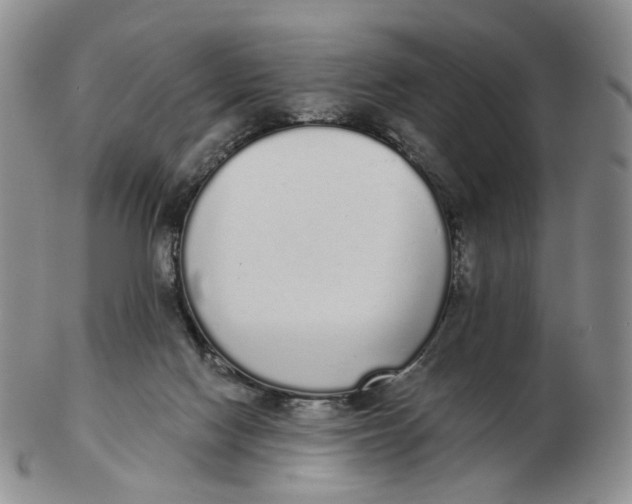 X0000103150074200809121825