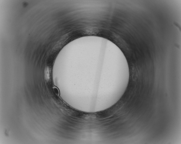 X0000103150075200809121825