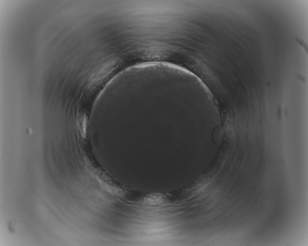 X0000103150076200809121825