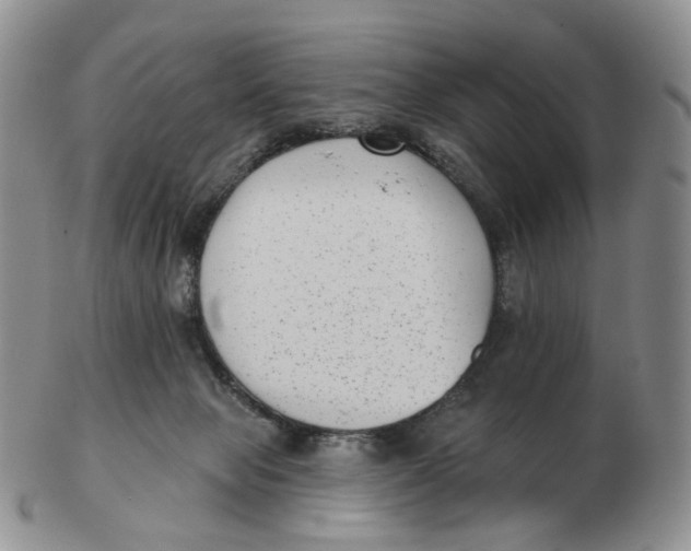 X0000103150077200809121825