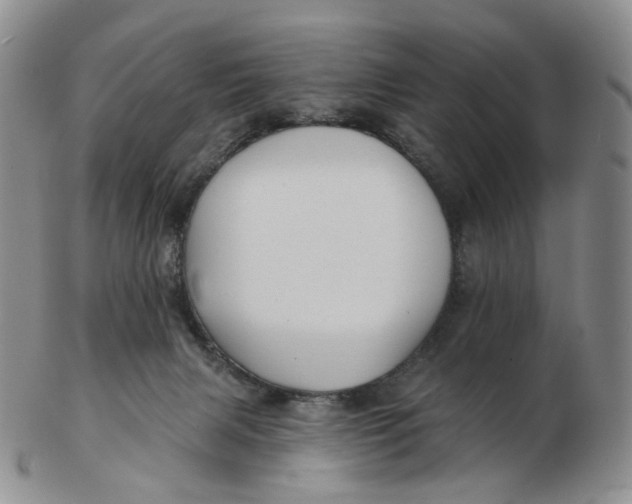 X0000103150079200809121825