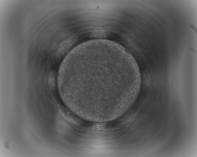 X0000103150080200809121825