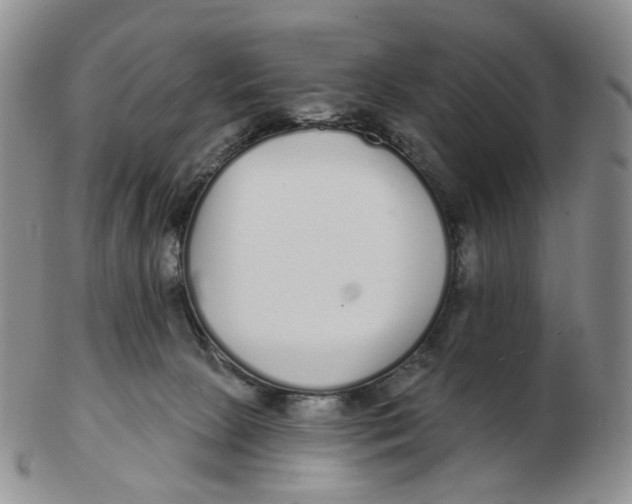 X0000103150081200809121825