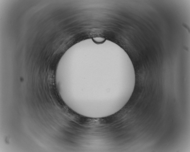 X0000103150083200809121825