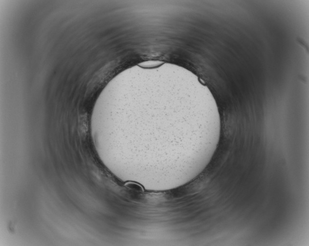 X0000103150085200809121826