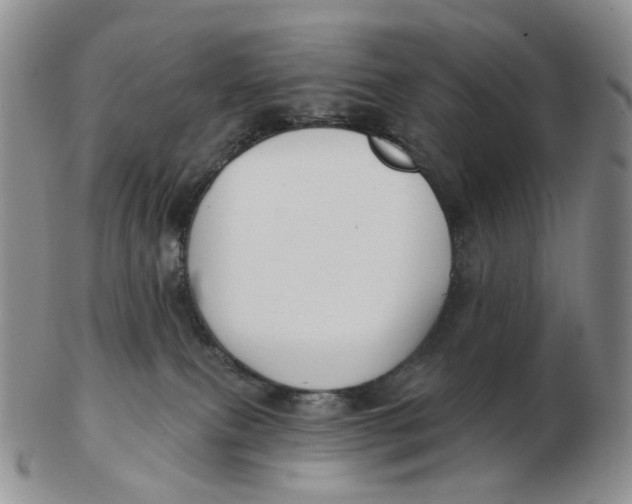 X0000103150087200809121826