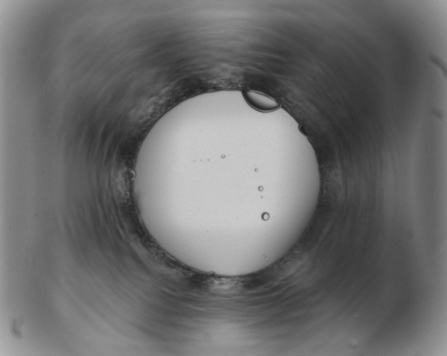 X0000103150088200809121826