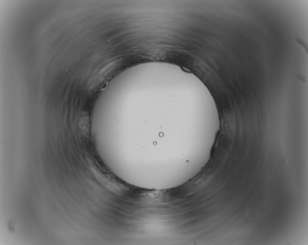 X0000103150092200809121826