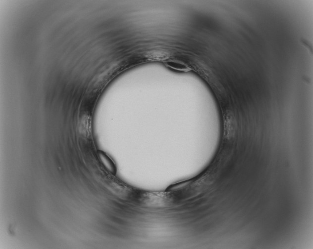 X0000103150093200809121826