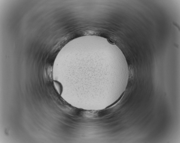 X0000103150094200809121826