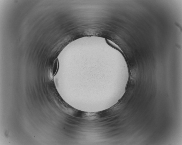 X0000103150095200809121826