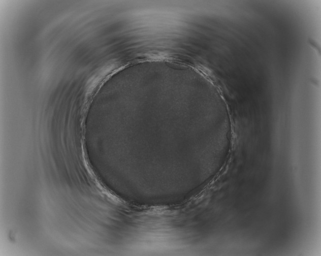 X0000103150097200809121825