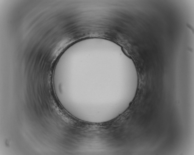 X0000103150098200809121825