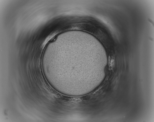 X0000103150099200809121825