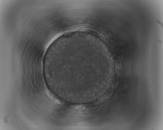 X0000103150100200809121825