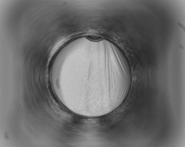 X0000103150102200809121825