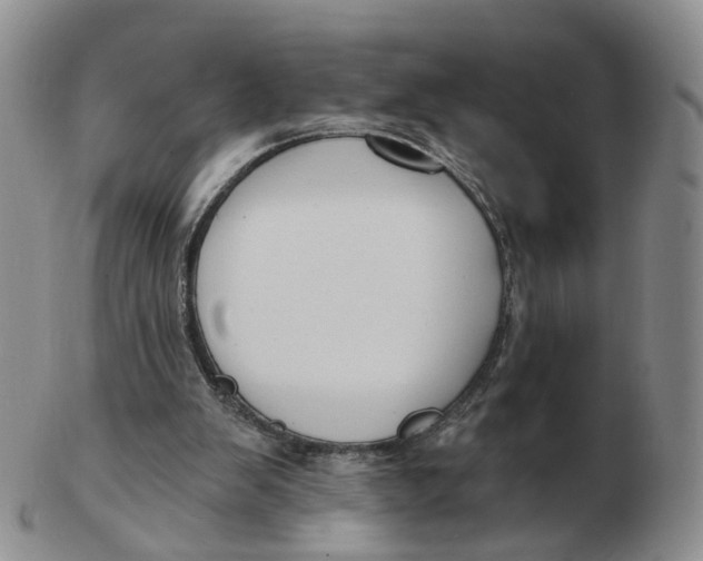 X0000103150103200809121825