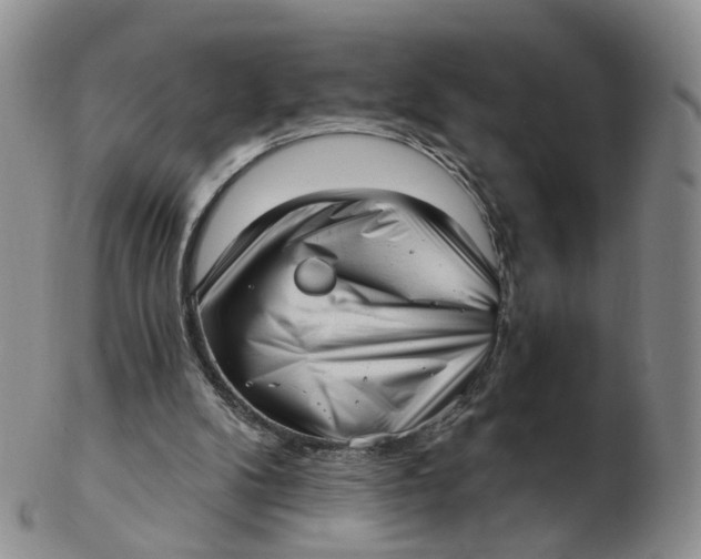 X0000103150104200809121825