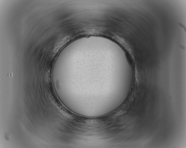 X0000103150105200809121825