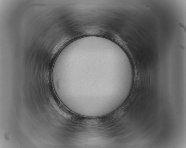 X0000103150106200809121825