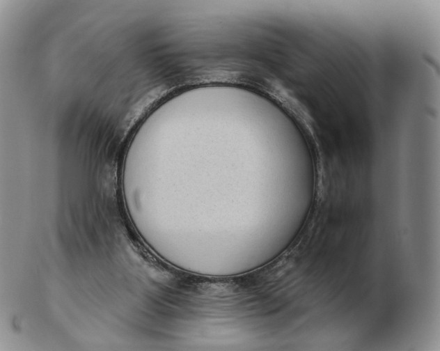 X0000103150107200809121825