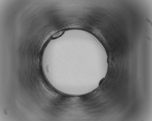 X0000103150108200809121825