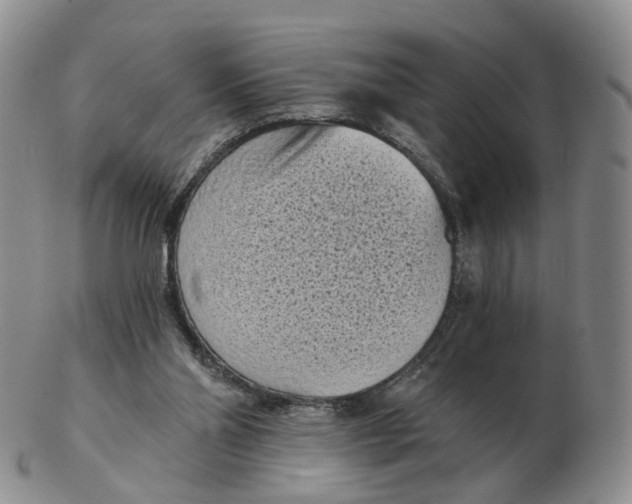 X0000103150110200809121825