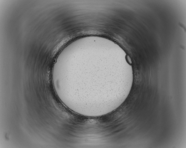 X0000103150111200809121825