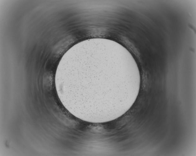 X0000103150113200809121825