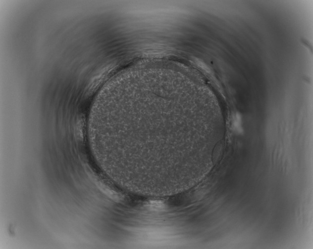 X0000103150114200809121825