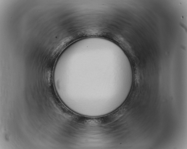 X0000103150115200809121825