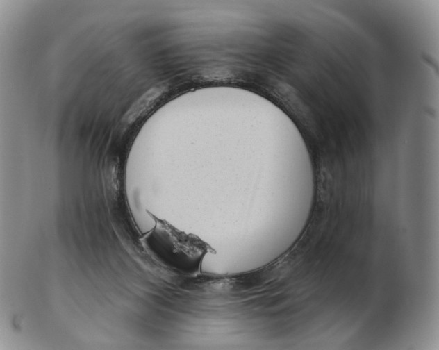 X0000103150116200809121825